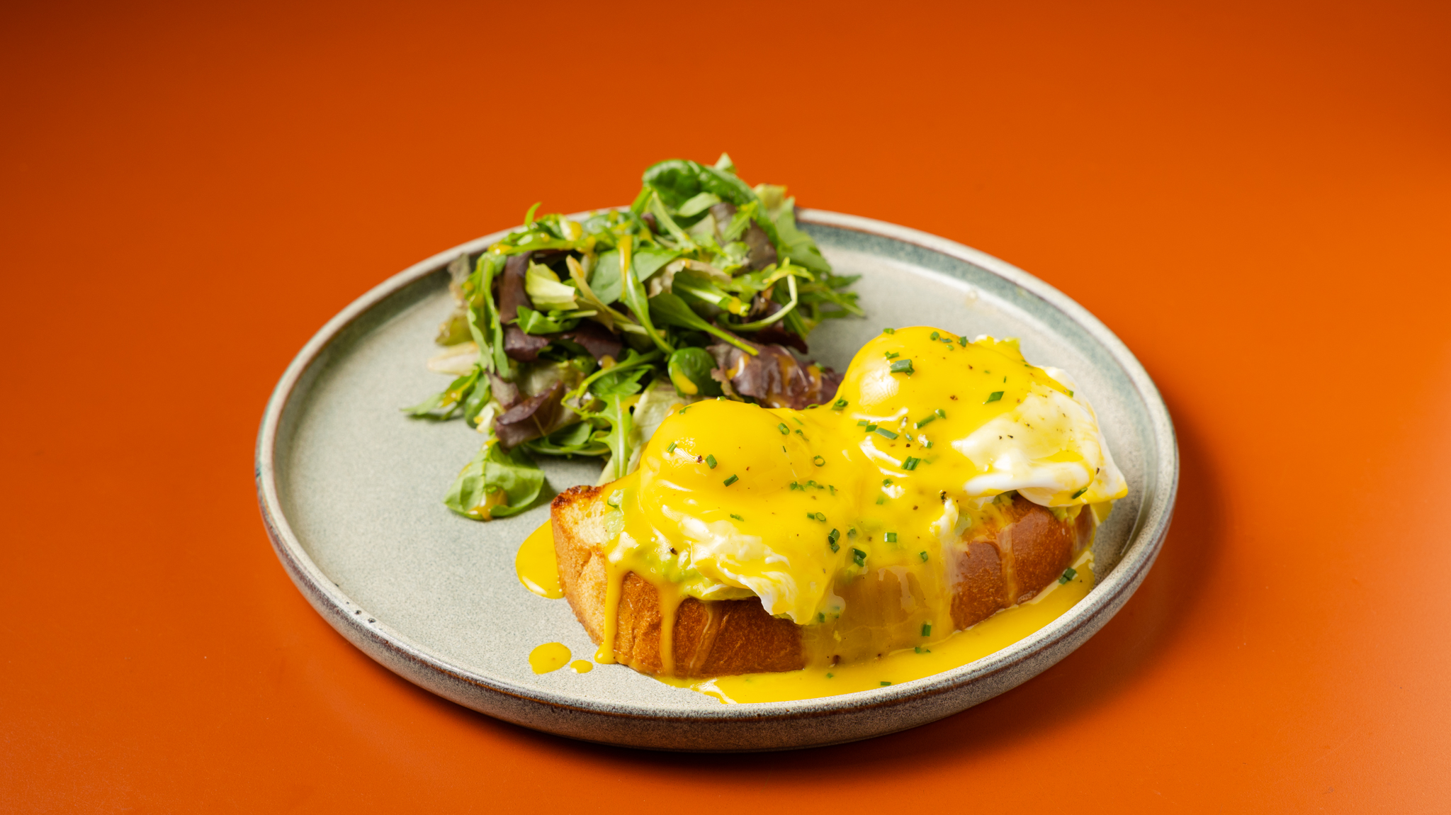 Avo Benedict